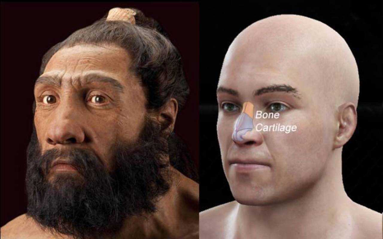 Genes de neandertal