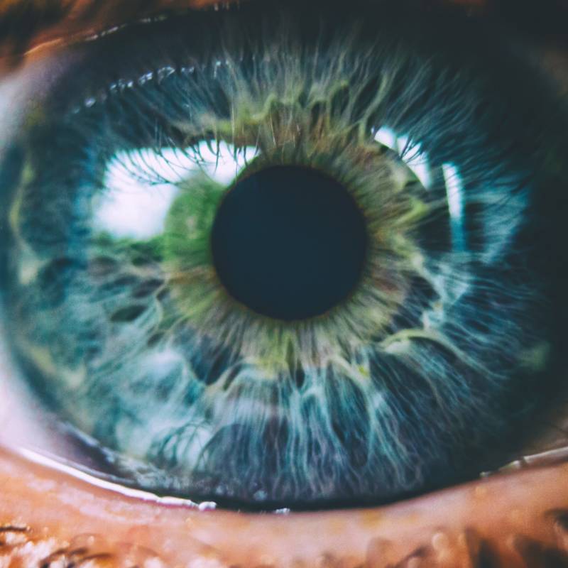 El intrigante secreto de los ojos de color azul: no existen