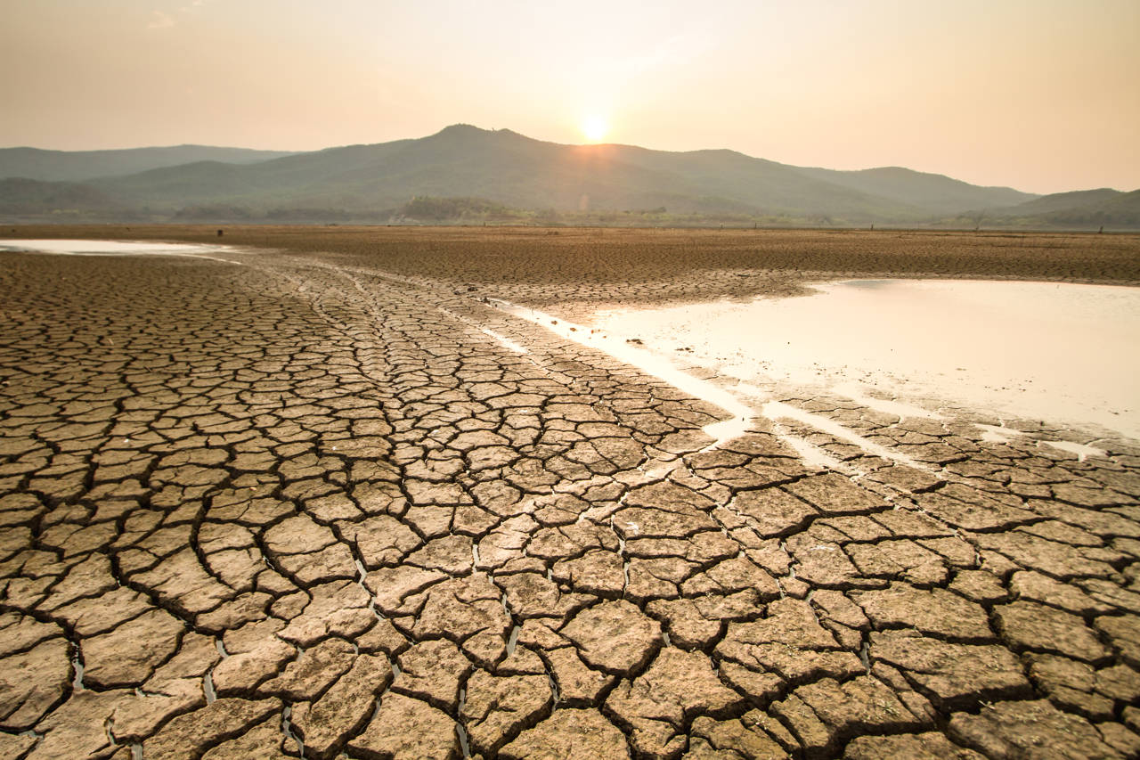 Sequía y aumento de temperatura
