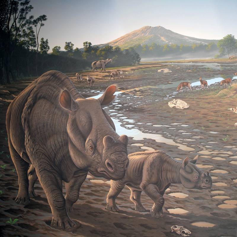 El Paleógeno, la vida después de la extinción de los dinosaurios