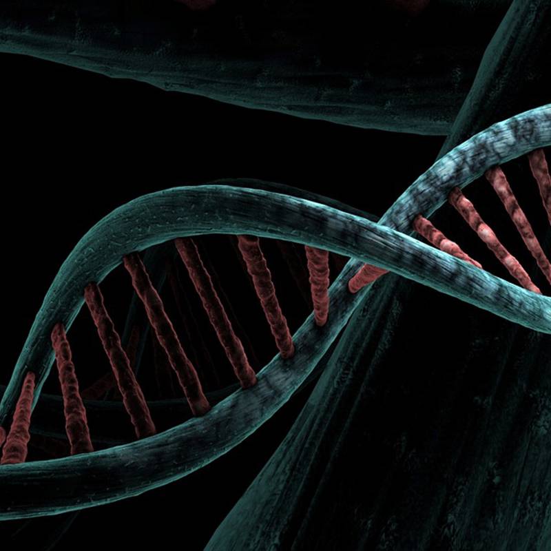 La edición genética CRISPR ayudaría a pacientes ciegos a recuperar la vista