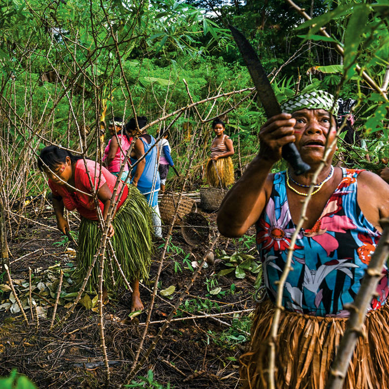 Una modernísima tribu amazónica