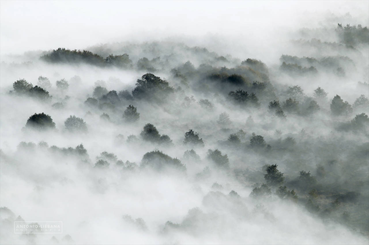 Nature background