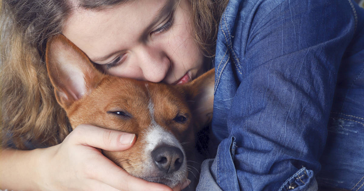 son los perros conscientes de su existencia