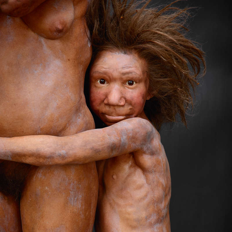 Nación neandertal, la clave ibérica. Por Juan Luis Arsuaga
