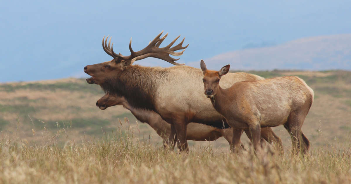 www.nationalgeographic.es