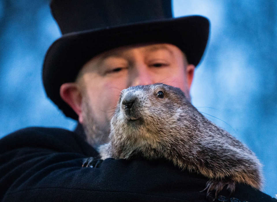 ¿Qué es el Día de la Marmota y qué "predijo" Punxsutawney Phil para