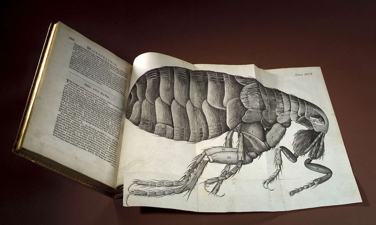 Robert Hooke, Micrographia, 