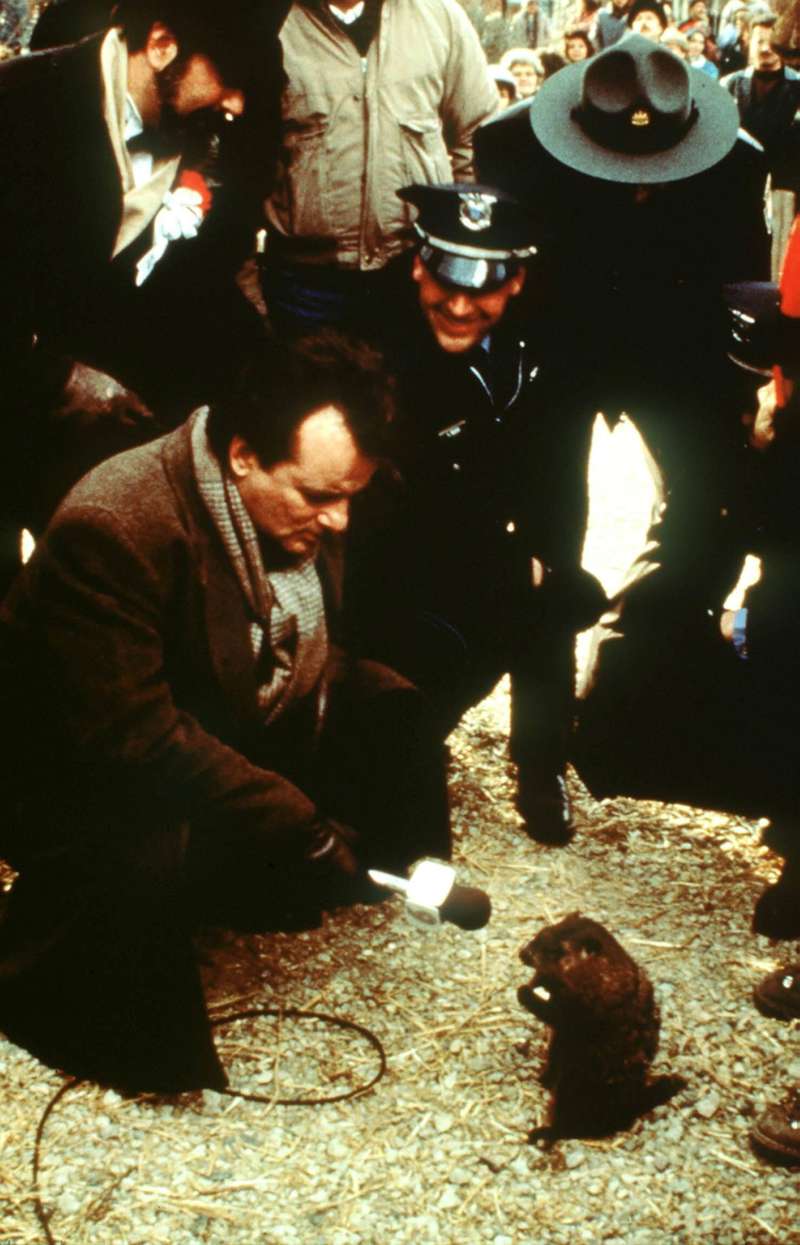 dia de la marmota bill murray 1993