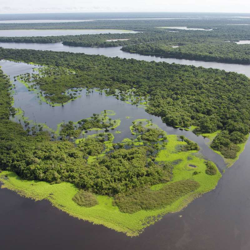 El Amazonas podría sufrir una deforestación de hasta el 47% para el año 2050