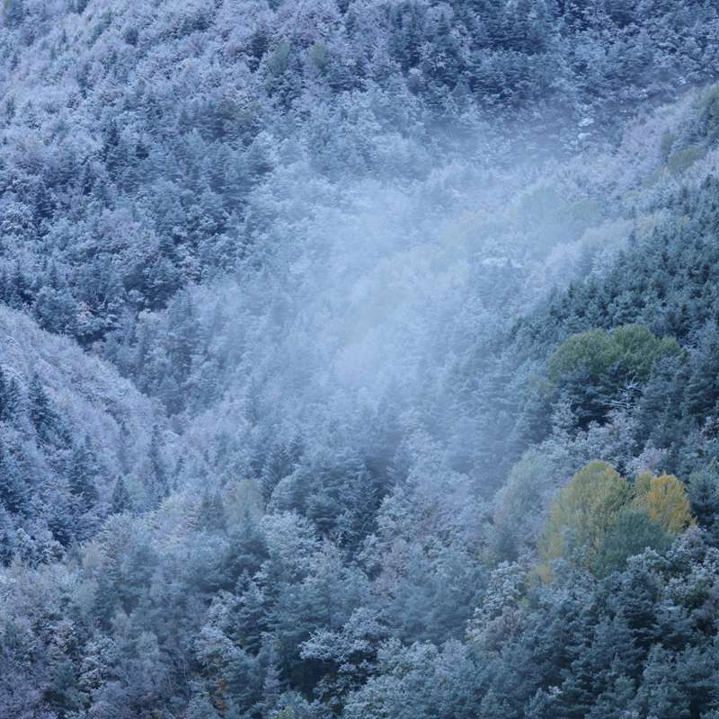 El bosque azul: desmontando una fotografía