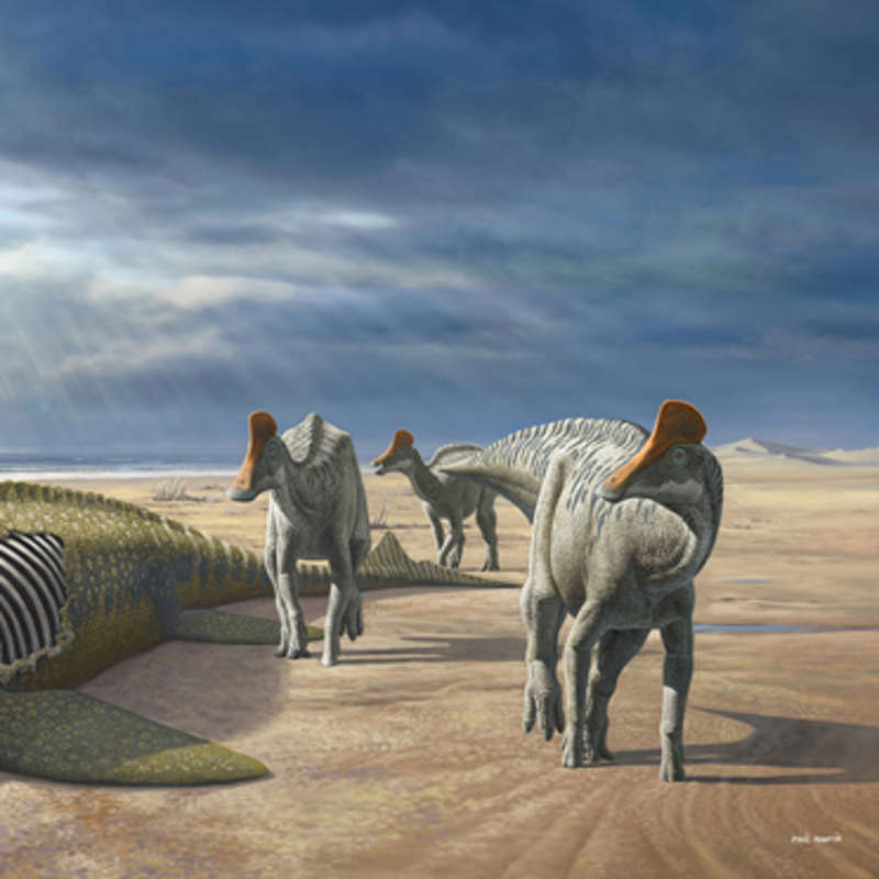 Este yacimiento revela hechos sorprendentes sobre los dinosaurios