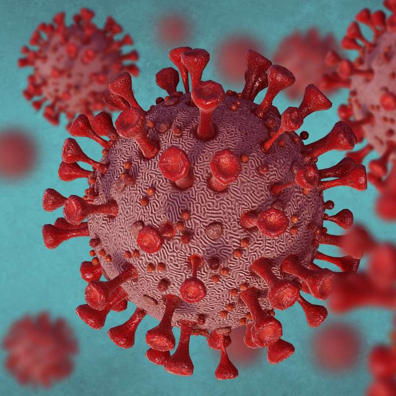¿La pandemia de COVID-19 fue natural o artificial? La respuesta no es tan sencilla