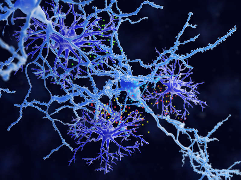 Los astrocitos (violeta) juegan un papel activo en la comunicación neuronal