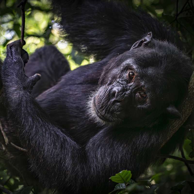 Las mejores imágenes de National Geographic y sus fotógrafos