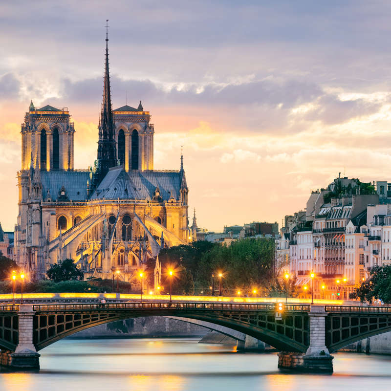 Hacia la reconstrucción de Notre Dame, un símbolo de la capital francesa