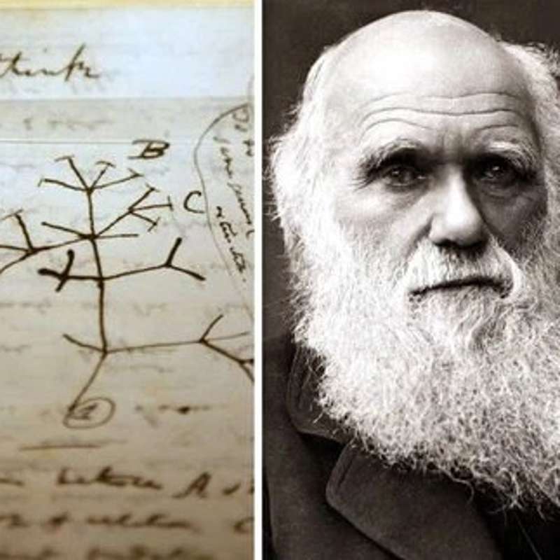 el origen de las especies charles darwin