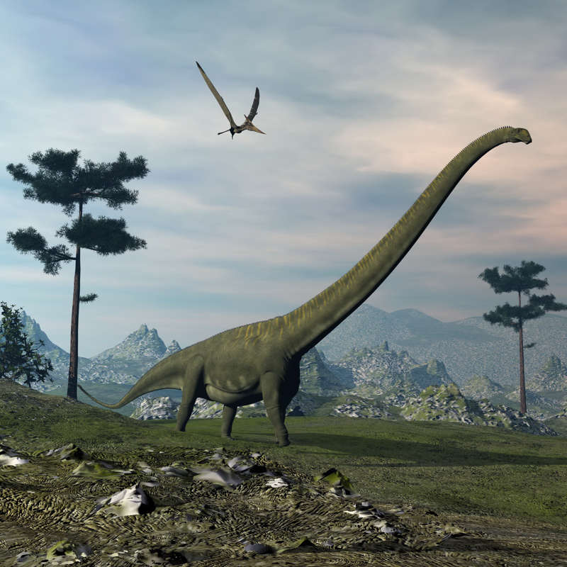 La teoría sobre el tamaño de los animales que no se cumple con los dinosaurios