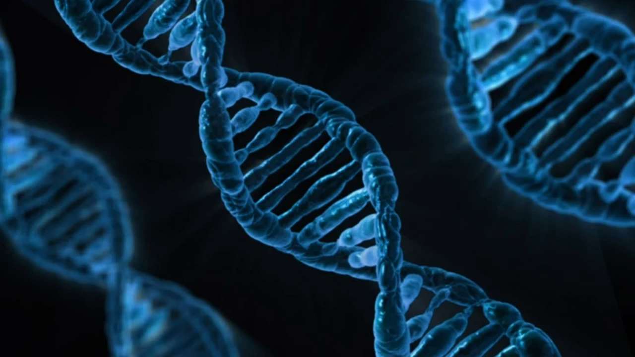 5 claves del ADN que debes conocer