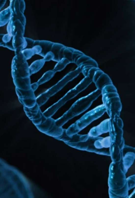 5 curiosidades sobre el ADN que debes conocer