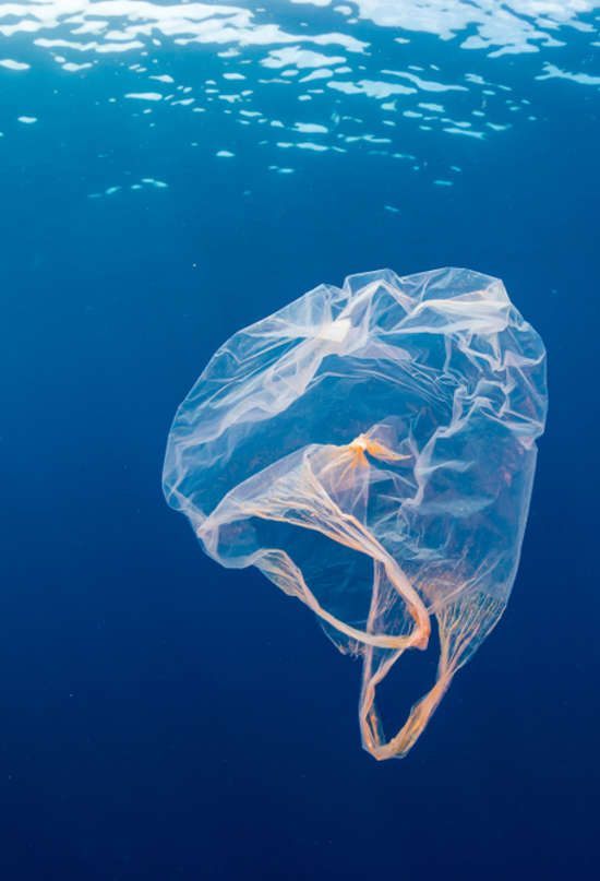 Las investigaciones del futuro podrán saber sobre nuestras vidas por culpa de la contaminación por plásticos
