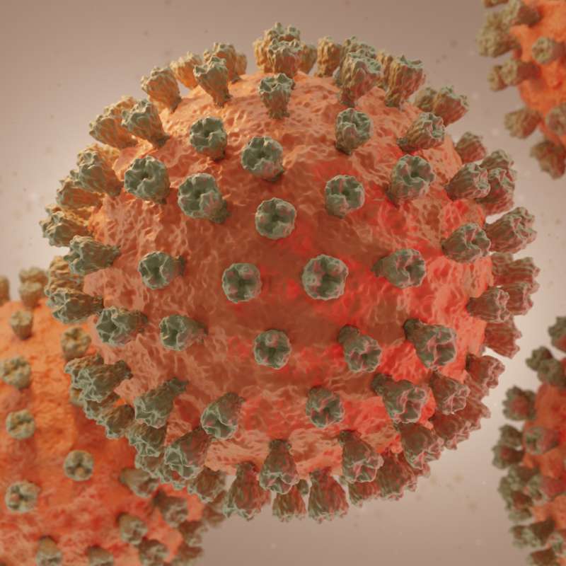 La OMS alerta sobre la posible expansión de la gripe aviar en humanos