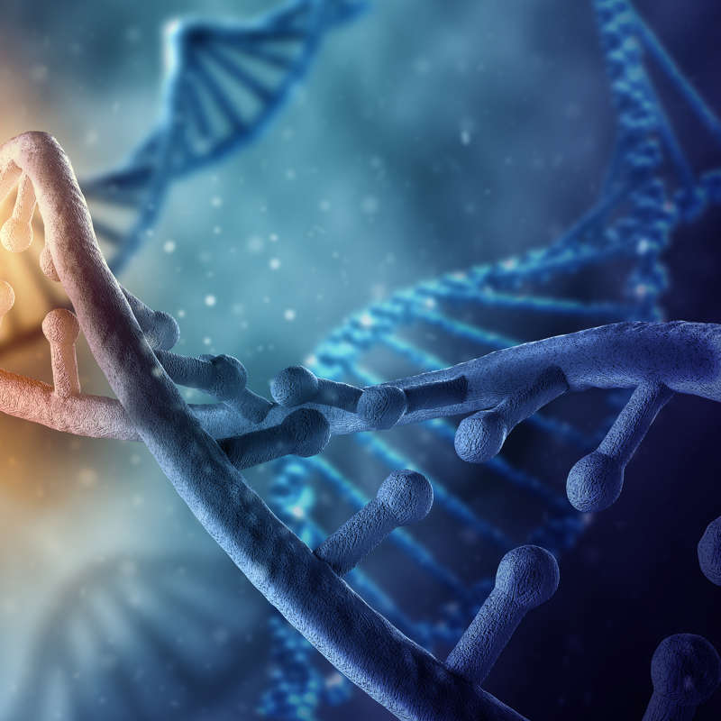 El ADN es mucho más de lo que muestra la Fotografía 51