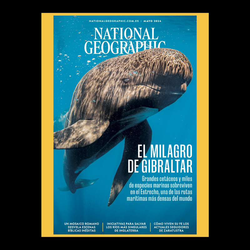 National Geographic mayo 2024