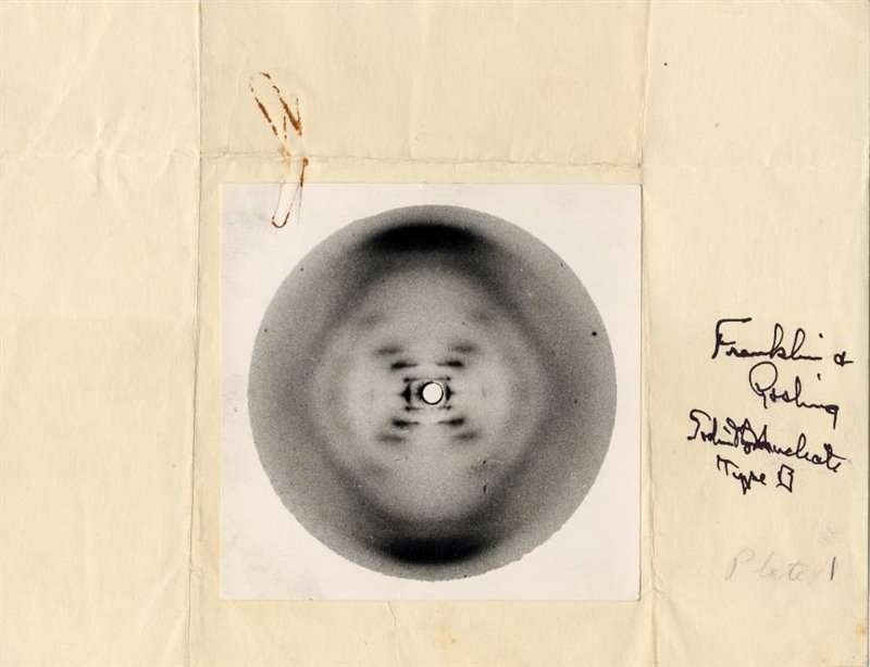 Zdjęcie 51, obraz struktury DNA uzyskany metodą dyfrakcji promieni rentgenowskich w 1952 roku 
