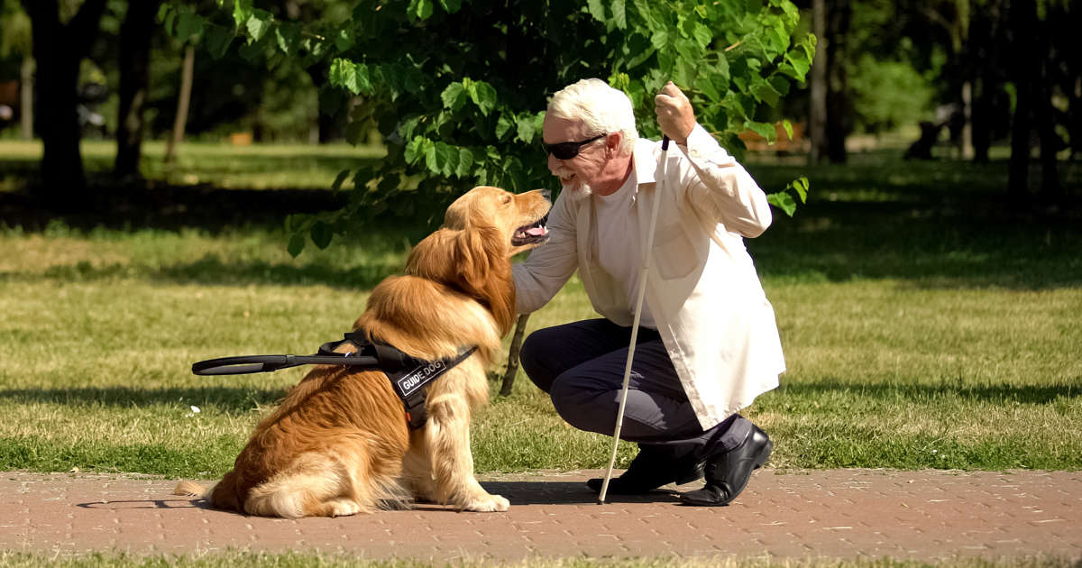 qué tan grande debe ser un parque para perros