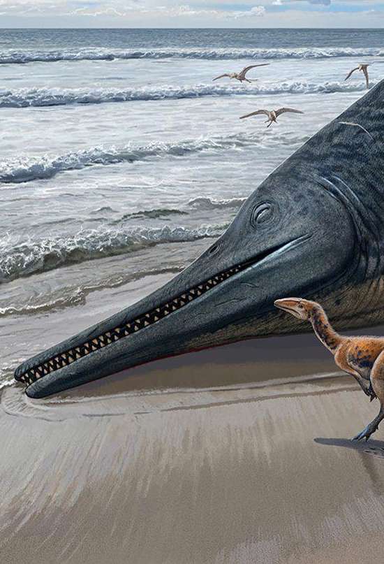 Este ictiosaurio podría ser el mayor animal marino de la historia
