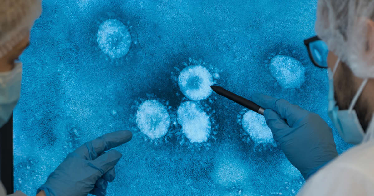 Gripe H5N1: ¿será la próxima pandemia?