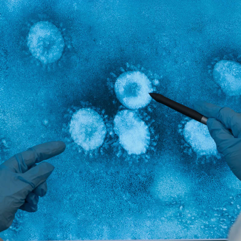 Gripe H5N1: ¿será la próxima pandemia?