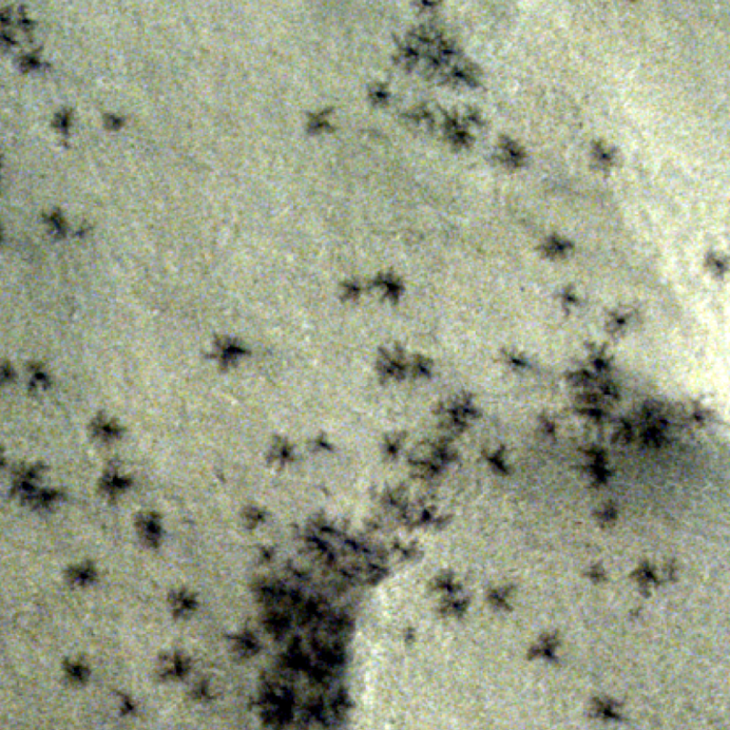 ¿"Arañas" en Marte? Esta es la explicación al fenómeno captado por una sonda europea
