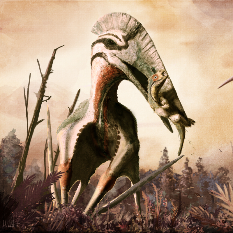 Hatzegopteryx, el extraño pterosaurio terrestre