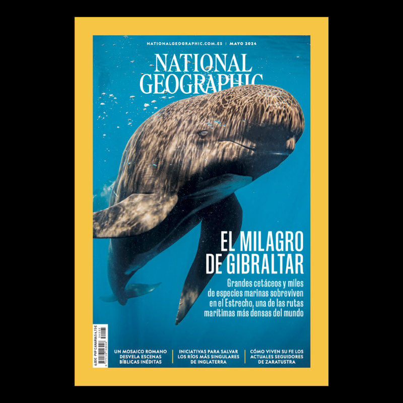 National Geographic sigue siendo el medio impreso más leído según el EGM