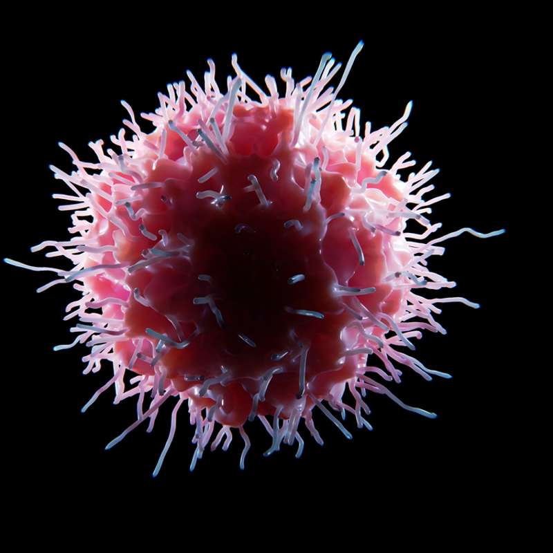 Investigadores detectan cómo actúan estas células asesinas contra un agresivo cáncer de mama
