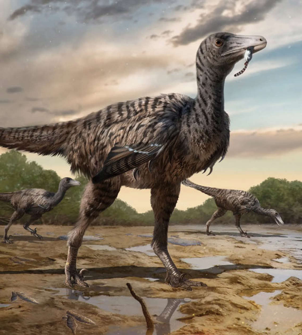 Descubren en China las huellas de un pariente gigante del Velociraptor