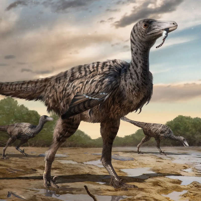 Descubren en China las huellas de un pariente gigante del Velociraptor