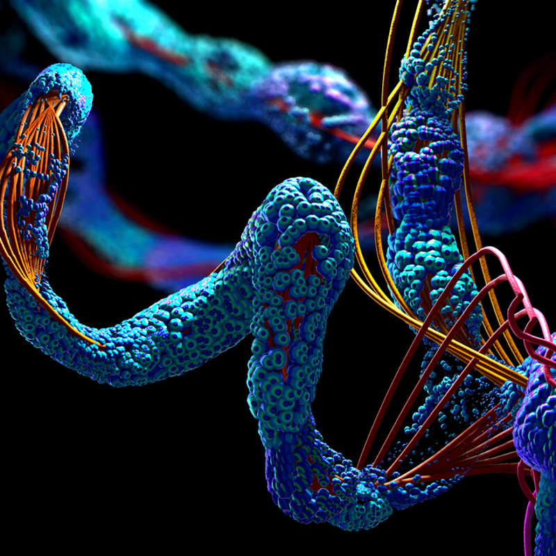 Ácido mágico, la sustancia que hizo desaparecer una vela