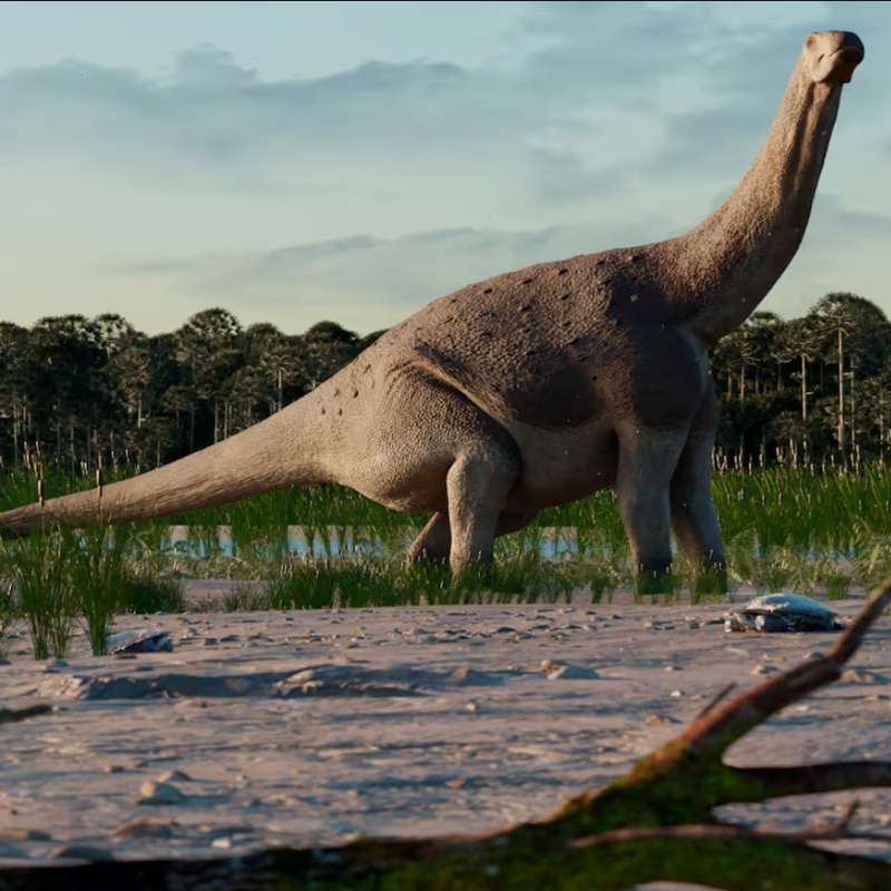 Un titanosaurio “enano” de la Patagonia revela pistas sobre el final de los dinosaurios