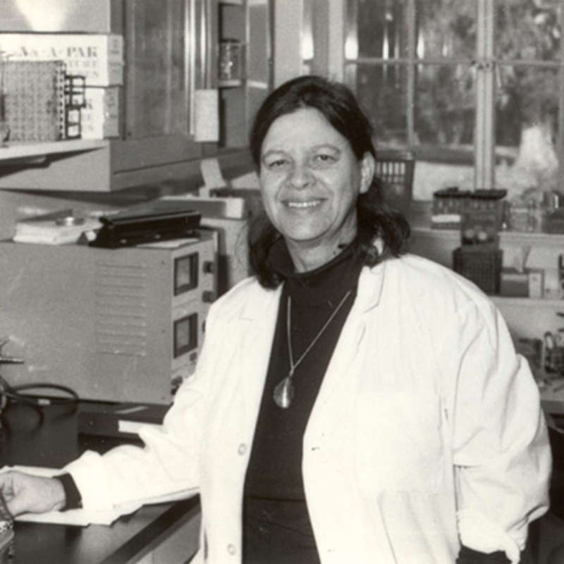 Esther Lederberg, la microbióloga que se quedó a las puertas del Nobel de forma injusta