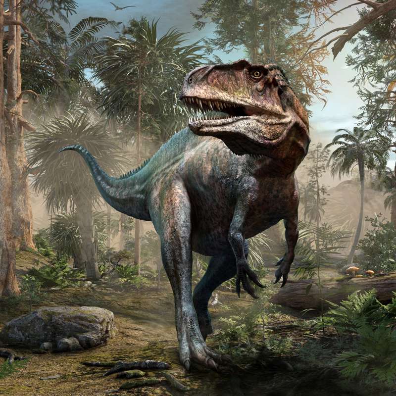 ¿Cuándo se convirtieron los dinosaurios en animales de sangre caliente?