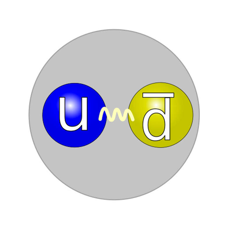 Quark structure pion