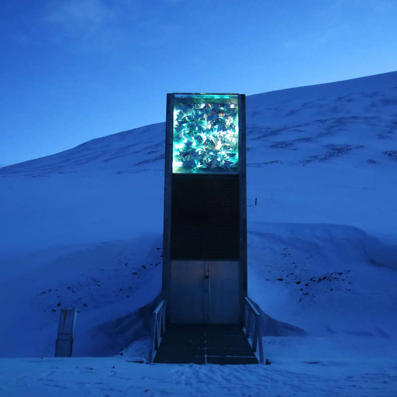 Los guardianes de la biodiversidad: Un viaje al núcleo de la Bóveda Global de Semillas de Svalbard