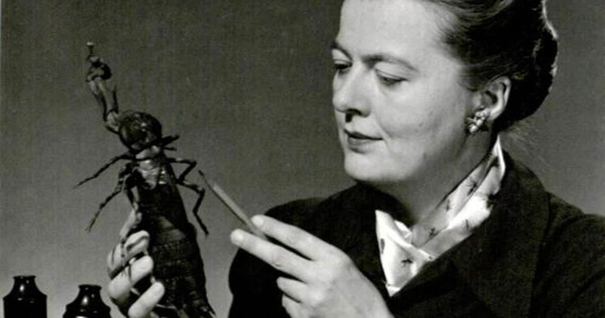 Alice Gray, la Dama Bicho que dedicó su vida a estudiar los insectos