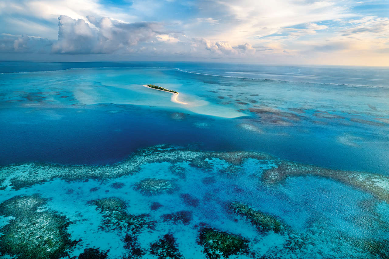 Filipinas, Palau: protegiendo el arrecife por amor