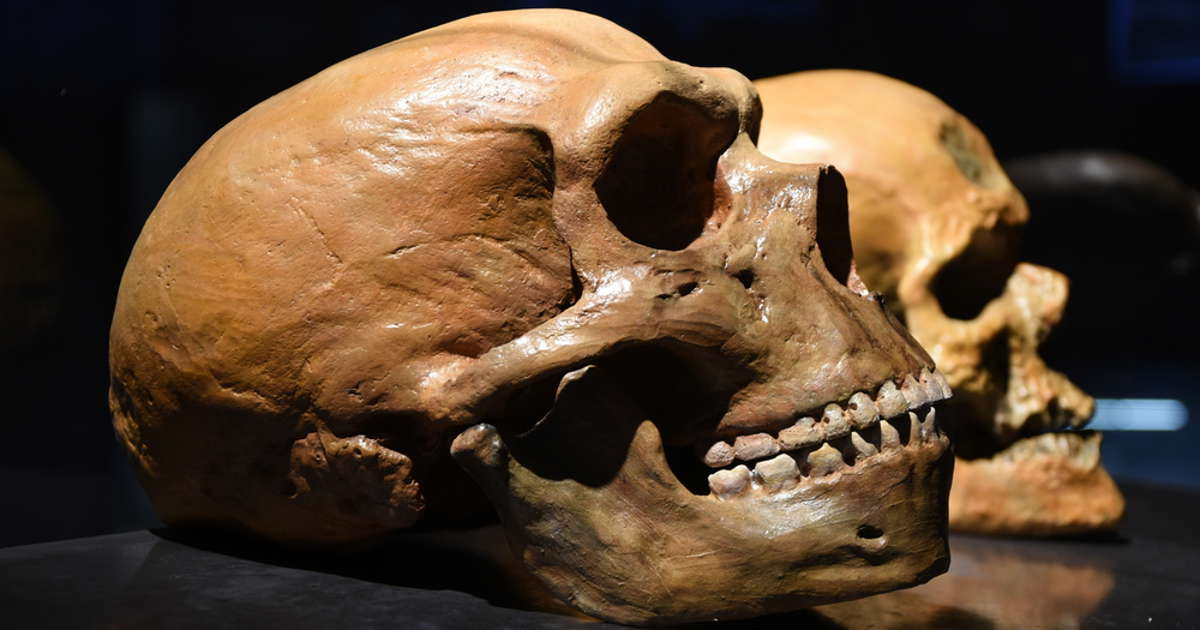 Modern humans left Africa much earlier than previously thought