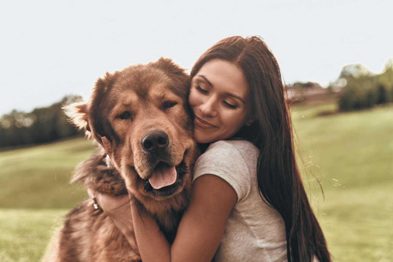 El Día del Perro tiene un triste y doloroso origen