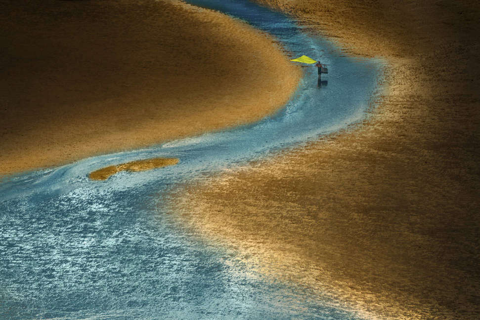 Conoce a los ganadores del Ocean Photographer of the Year 2024